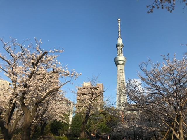 Sky Tree Inn Токио Екстериор снимка